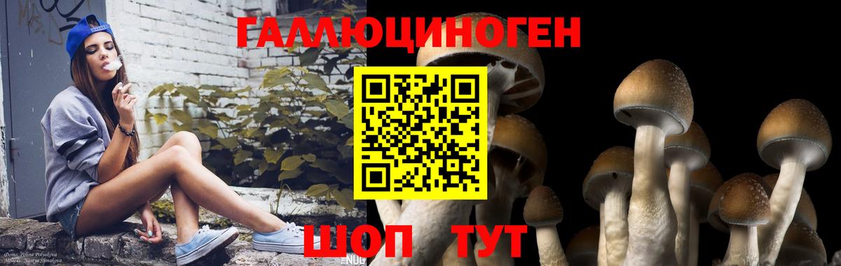 Галлюциногенные грибы мицелий  Галлюциногенные грибы Magic Shrooms  Вход с VPN  Нурлат 